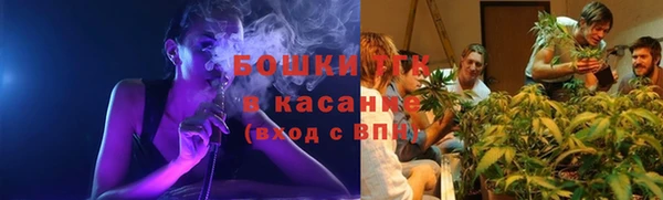 сатива Белоозёрский