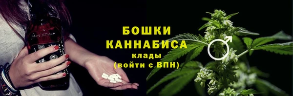 сатива Белоозёрский