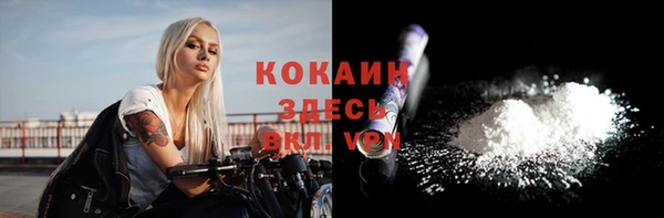 сатива Белоозёрский