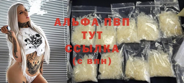 спиды Белокуриха