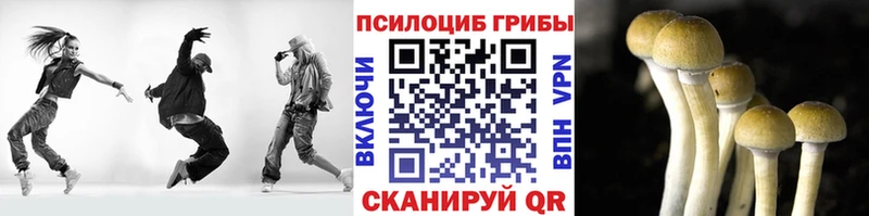 Псилоцибиновые грибы мухоморы Звенигово